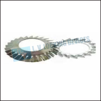 Multi Teeth Washer/ Overlapping Washer 